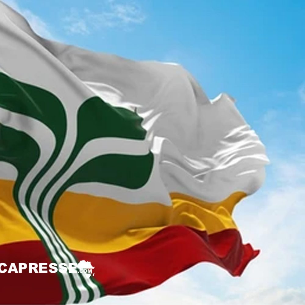 Fin du financement pour Santé en Français au Manitoba: quel avenir pour les soins en français ?